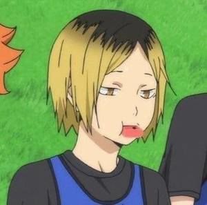 Meet your Posher, Ayla